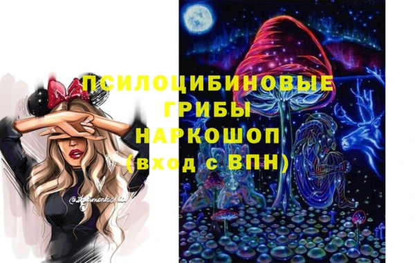 гидра Алексеевка