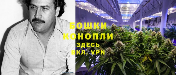 ешки Алзамай