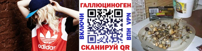 закладки Оса Псилоцибиновые грибы MAGIC MUSHROOMS